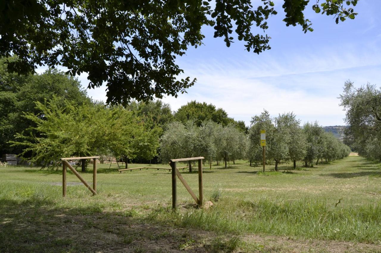 Agriturismo Forestale Luti Treia Esterno foto